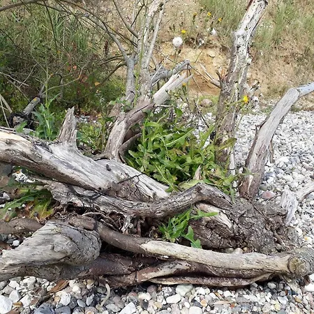 8 Person In Haderslev-by Traum * Arosund